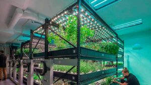 Space Agriculture: Can We Grow Food on Other Planets?