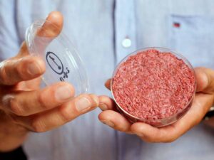 Person holding a petri dish containing cultured meat