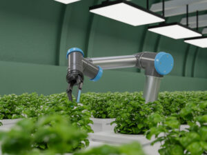 A robotic arm with blue accents gently tends to vibrant green basil plants