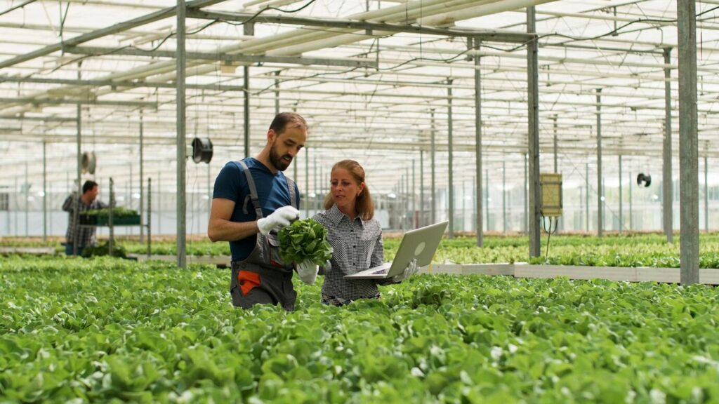 Two people, one holding a laptop and the other showing fresh greens