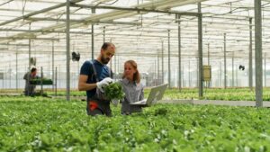 Two people, one holding a laptop and the other showing fresh greens