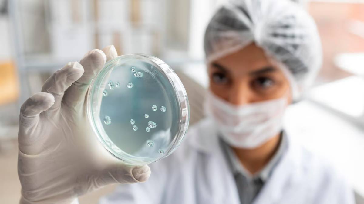 Scientist in lab coat and mask examining a petri dish with cultured samples, focusing closely on the results.