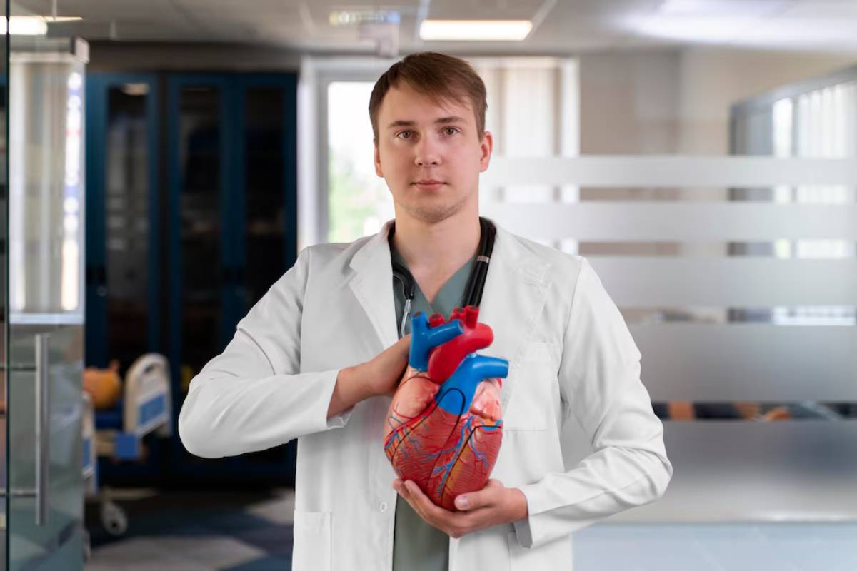 Young male medical professional holding a detailed anatomical model of the human heart in a lab setting.