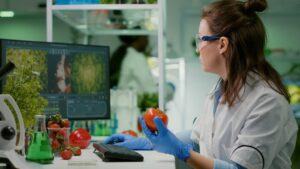 A female scientist examines a tomato in a laboratory, surrounded by plants and research equipment.